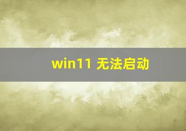 win11 无法启动